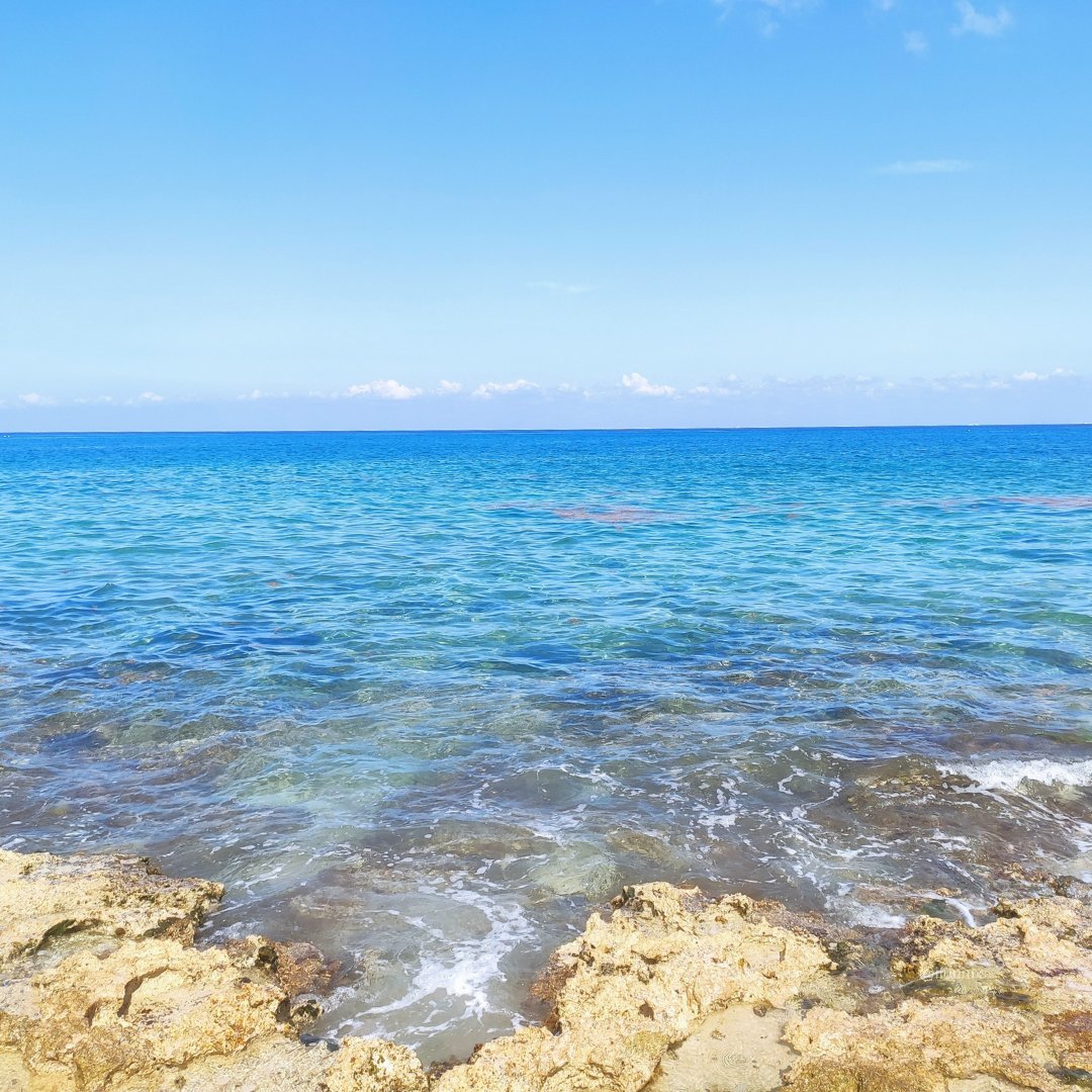 Sargassum in Cozumel 2022