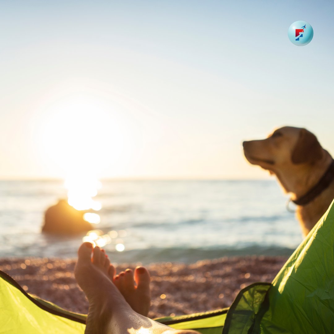 All pets must travel on a kennel&nbsp;