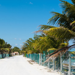 CAMPECHE - MAHAHUAL FLIGHTS