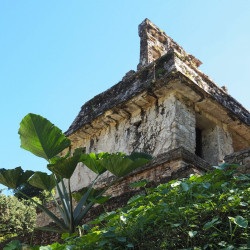 CAMPECHE - PALENQUE FLIGHTS