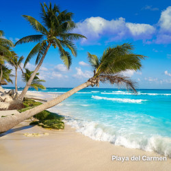 Cozumel Playa del Carmen Flights