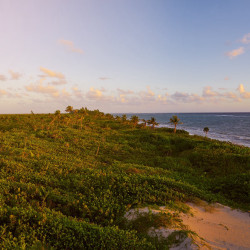 Cozumel Mahahual Flights